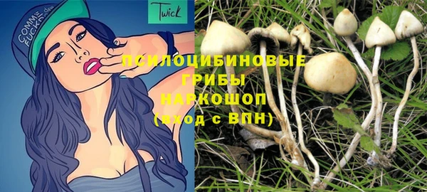 дмт Аркадак