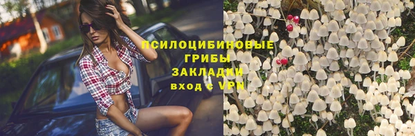дмт Аркадак
